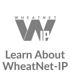 WNIPIcon