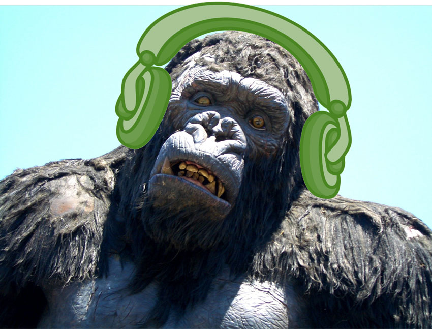 Spotify Story