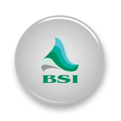 PartnersButtonsSinglePageEach-BSI.jpg