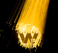 WheatNetIP Fiber200pxWideGold