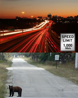 Gigabit Large